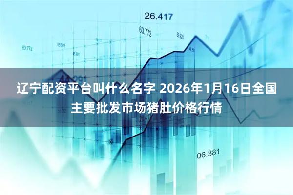 辽宁配资平台叫什么名字 2026年1月16日全国主要批发市场猪肚价格行情